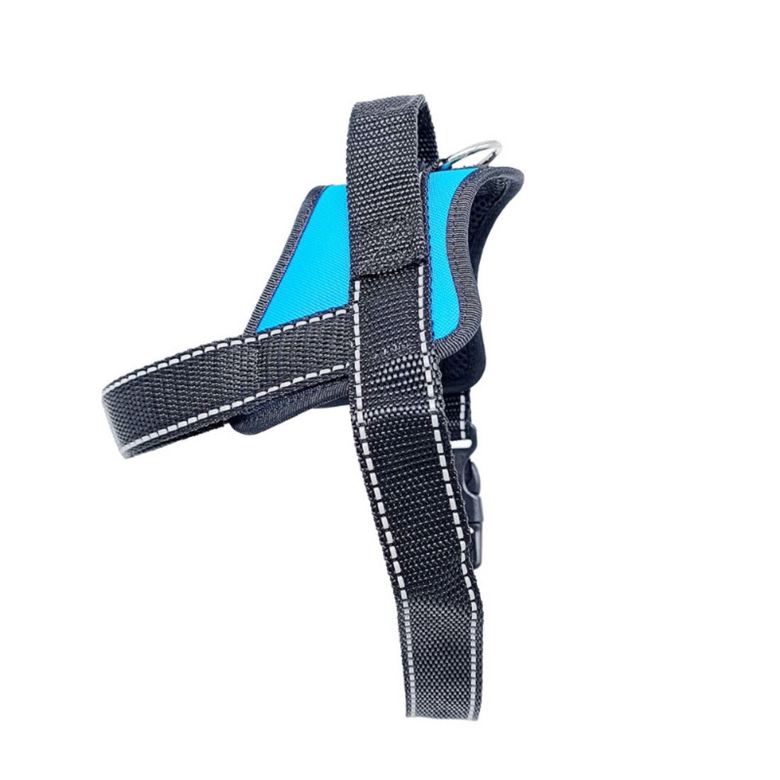 Light blue dog harness with padding and black straps on a white background