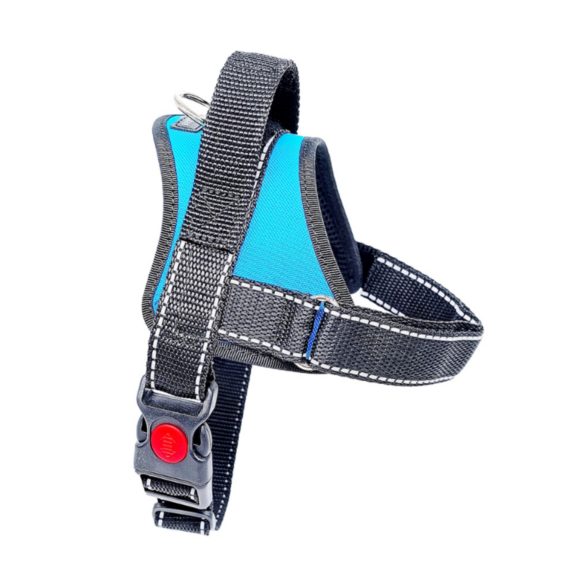 Light blue dog harness with padding and black straps on a white background