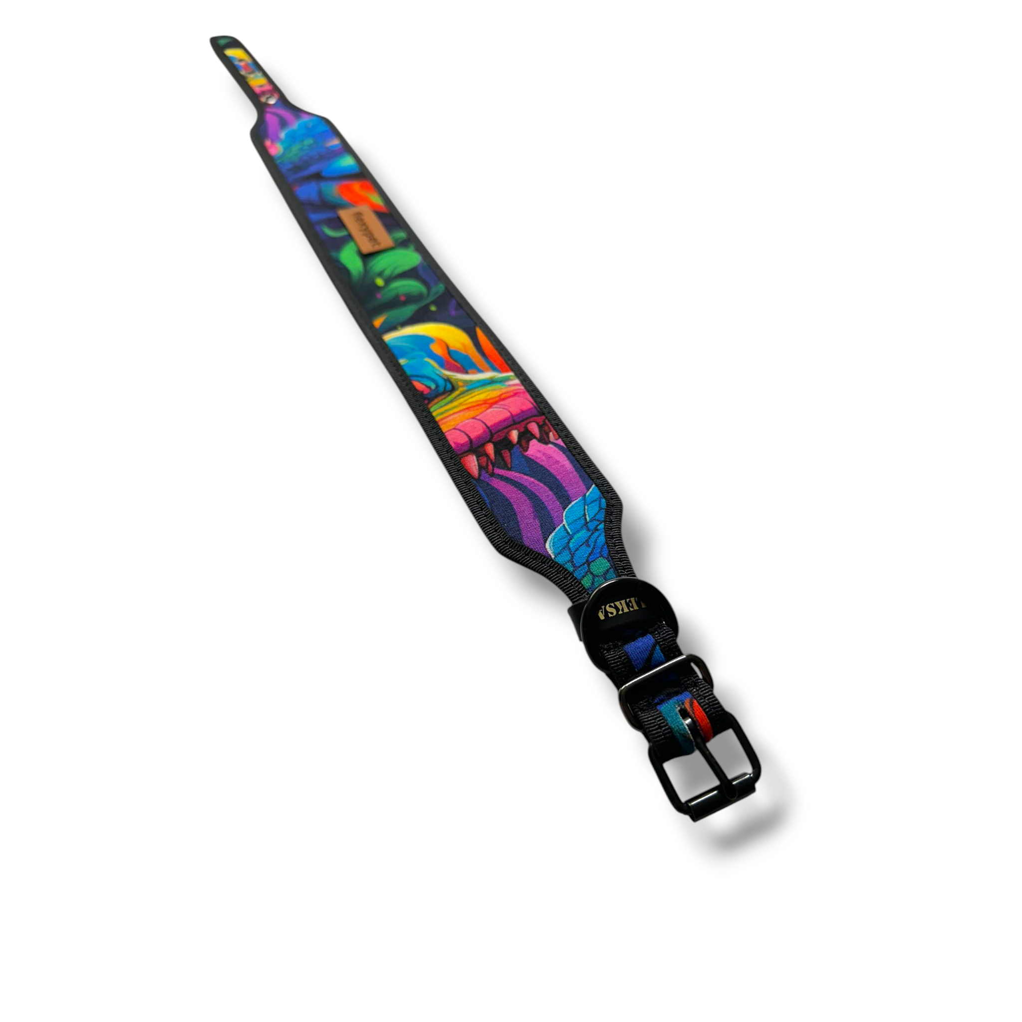 Fabric collar Dinosaur