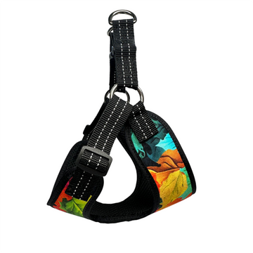 Harness for medium and large breed dog colorful