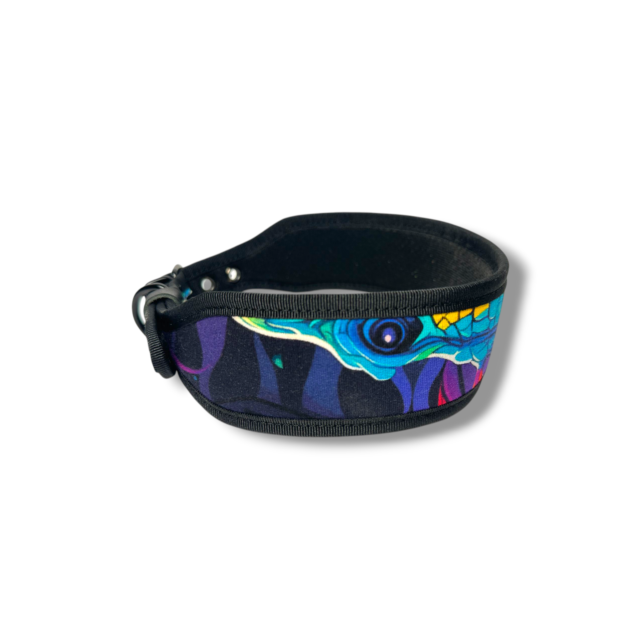 Fabric collar Dinosaur