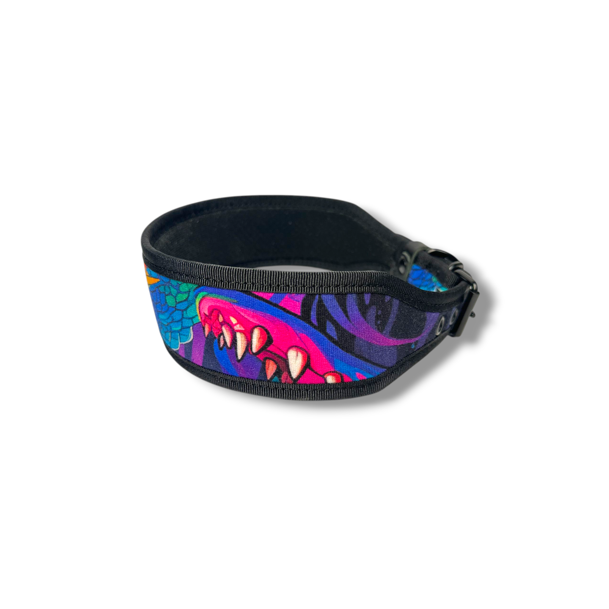 Fabric collar Dinosaur