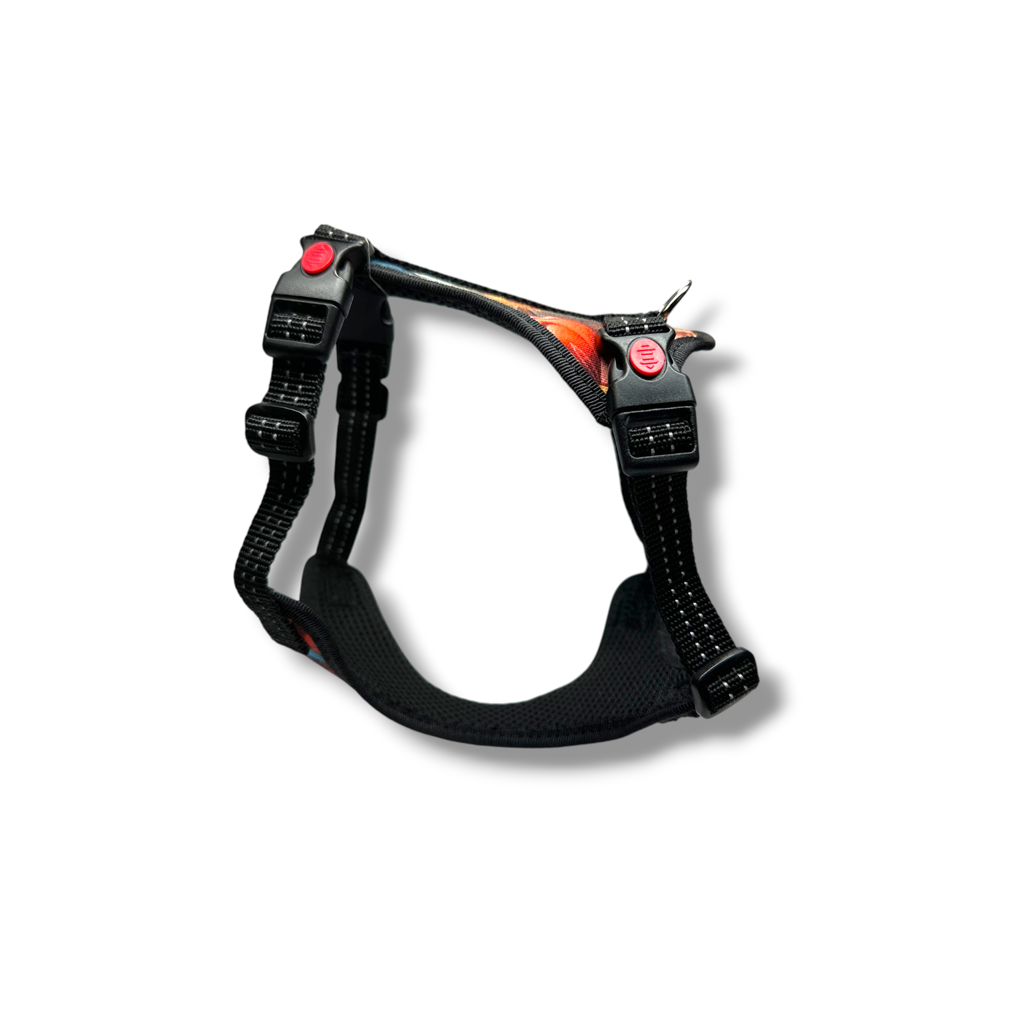 Black dog harness with red buttons on a white background