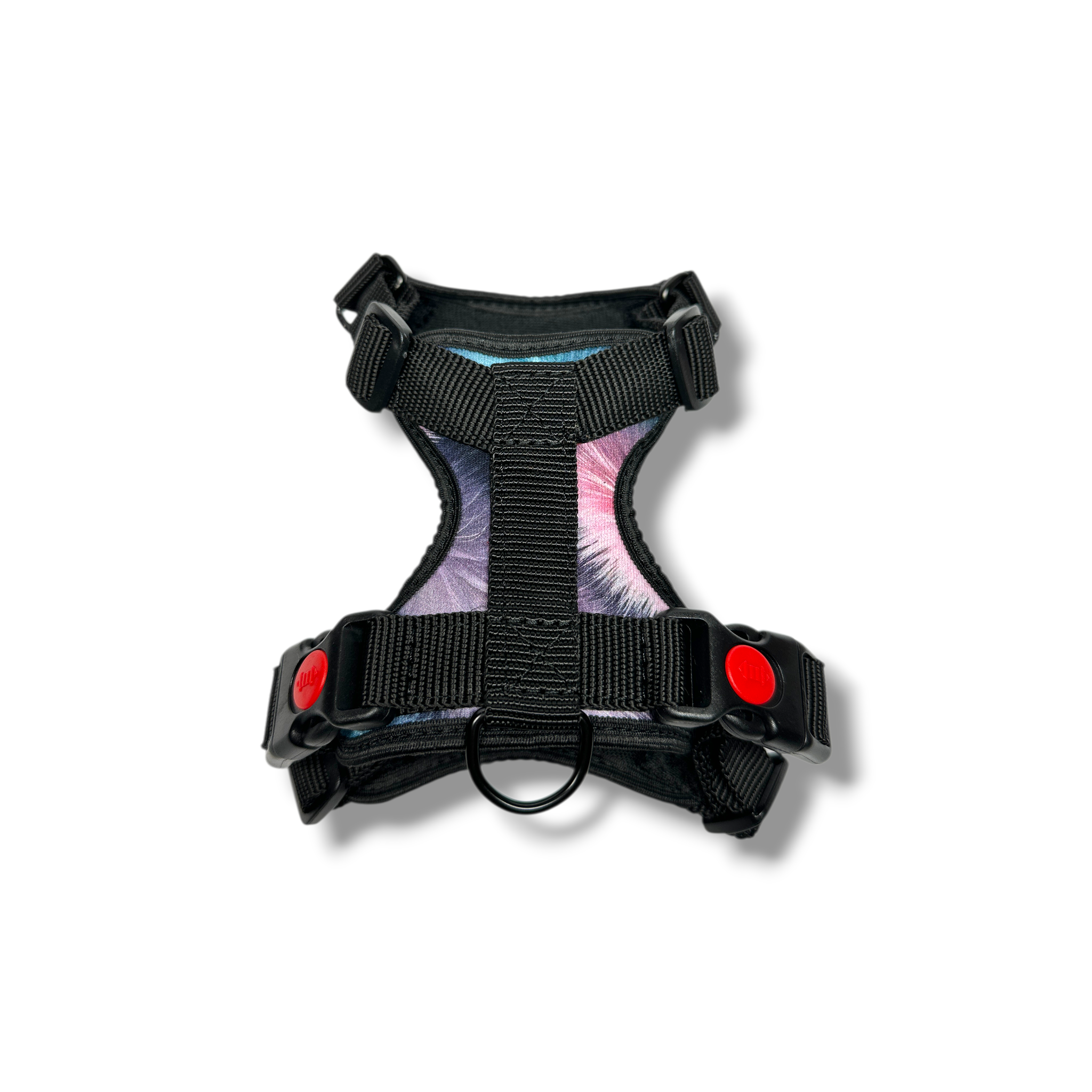 Black dog harness with colorful design on a white background