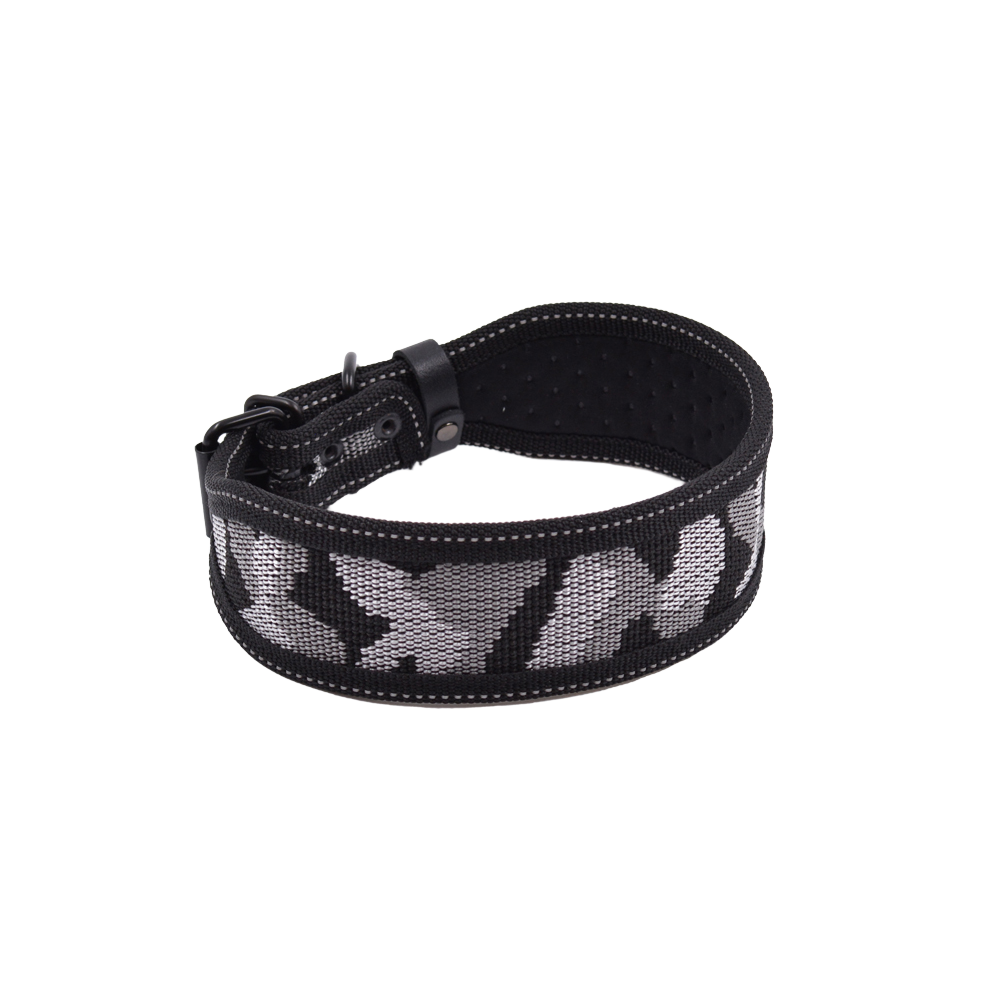 Fabric collar with buckle