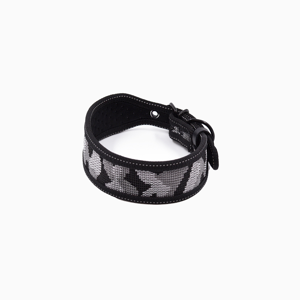 Fabric collar with buckle