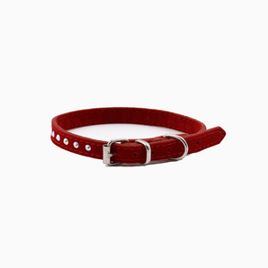 Red Velvet Collar with Gemstones for dog