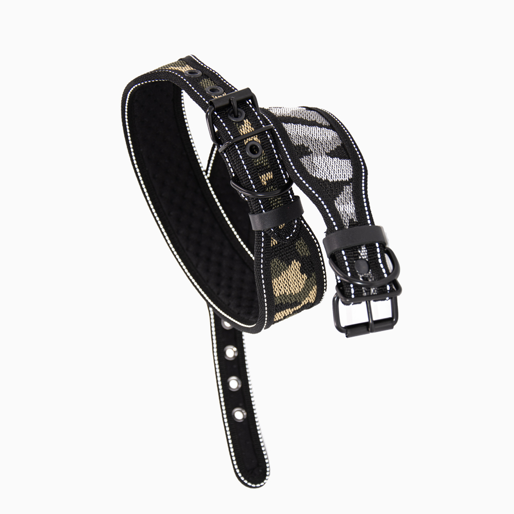 Fabric collar with buckle