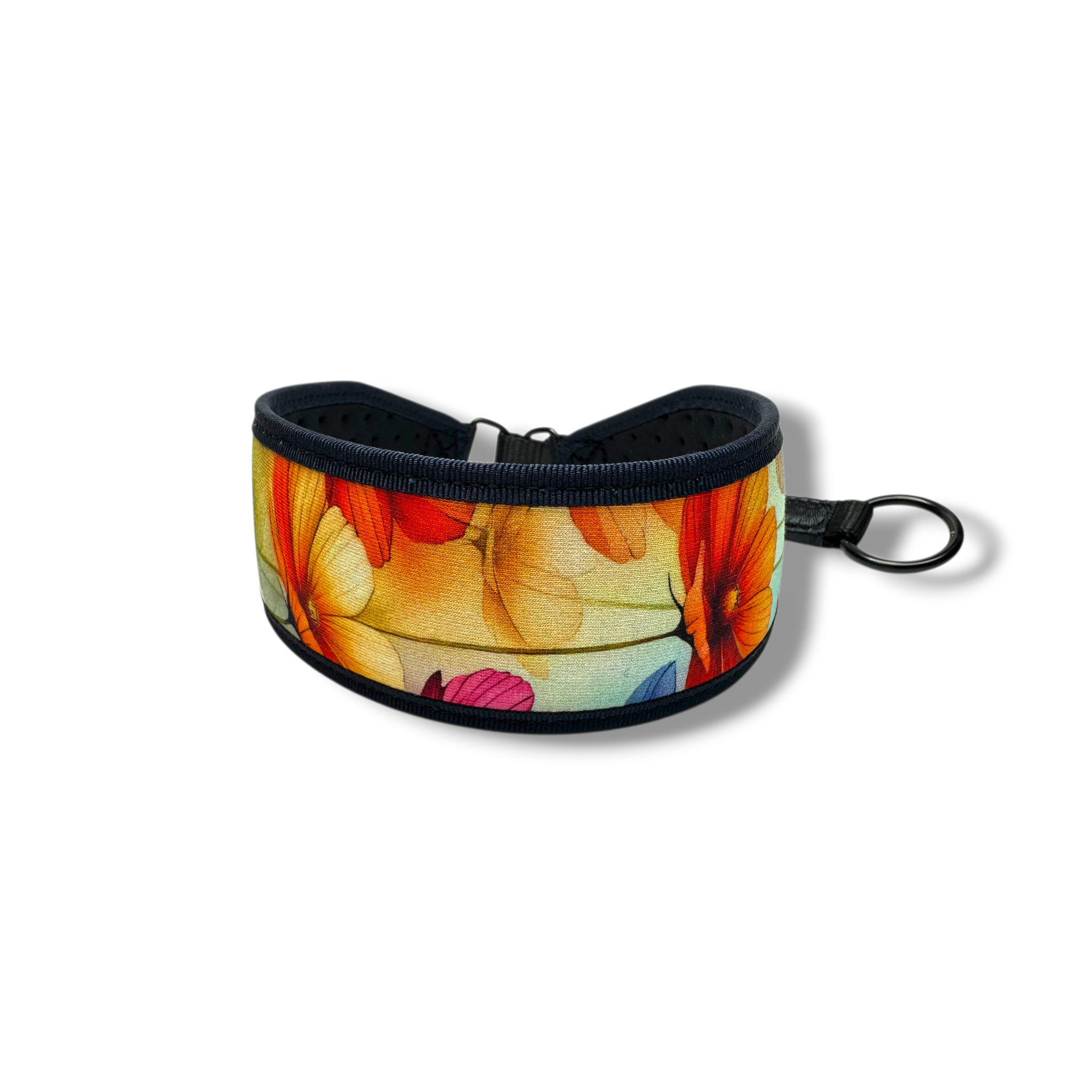 Neoprene dog collar with colorful floral pattern on a white background