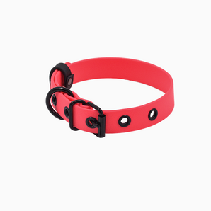 Rosewood Biotan Leather Collar with Metal Buckle