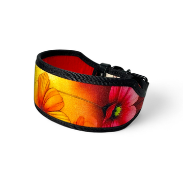“Amber Petals” Premium Dog Collar