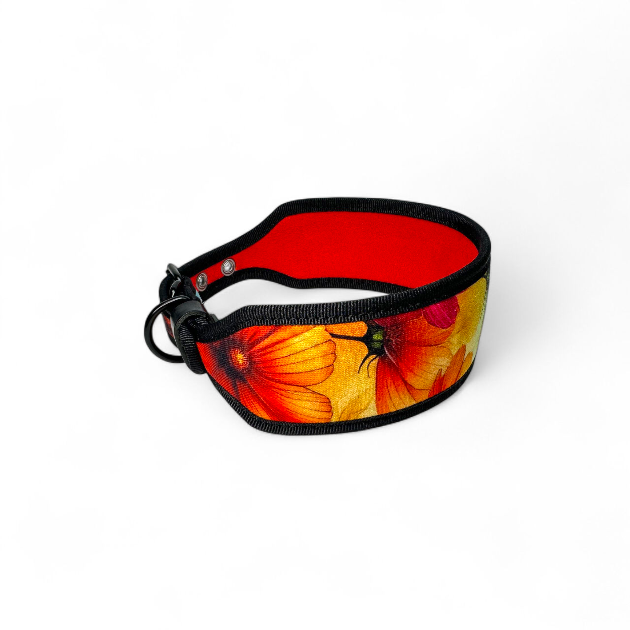 “Amber Petals” Premium Dog Collar