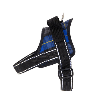 Blue Harness with Handle "StepMaster"