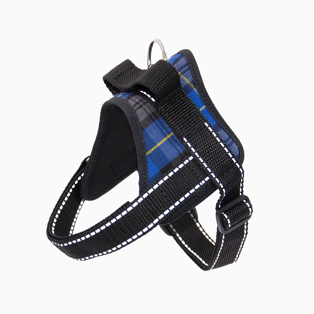Blue Harness with Handle "StepMaster"
