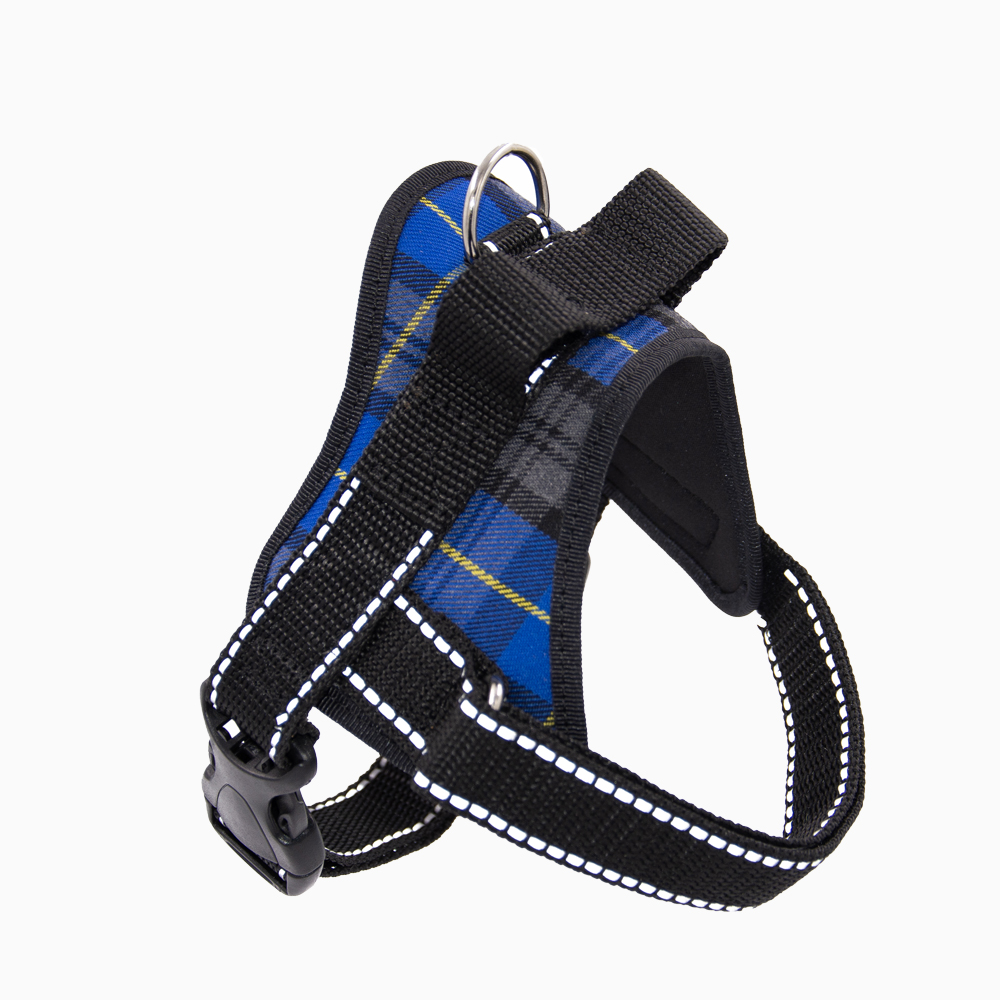 Blue Harness with Handle "StepMaster"