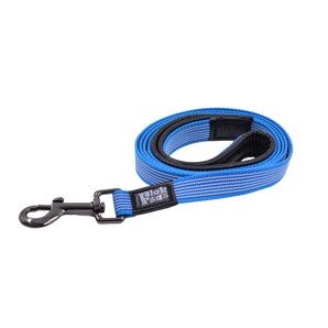 Blue Leash with Padded Leather Handle