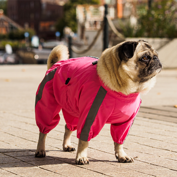 mops