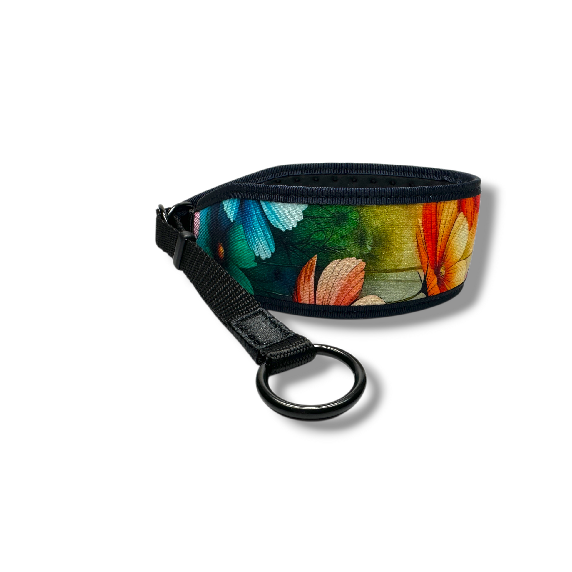 Colorful floral-patterned dog collar with a metal ring on a white background
