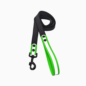 Green Biotan Waterproof Leash with Reflective Stripe