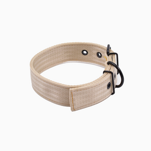 Two-Tone Nylon Collar for Day and Nighttime Use