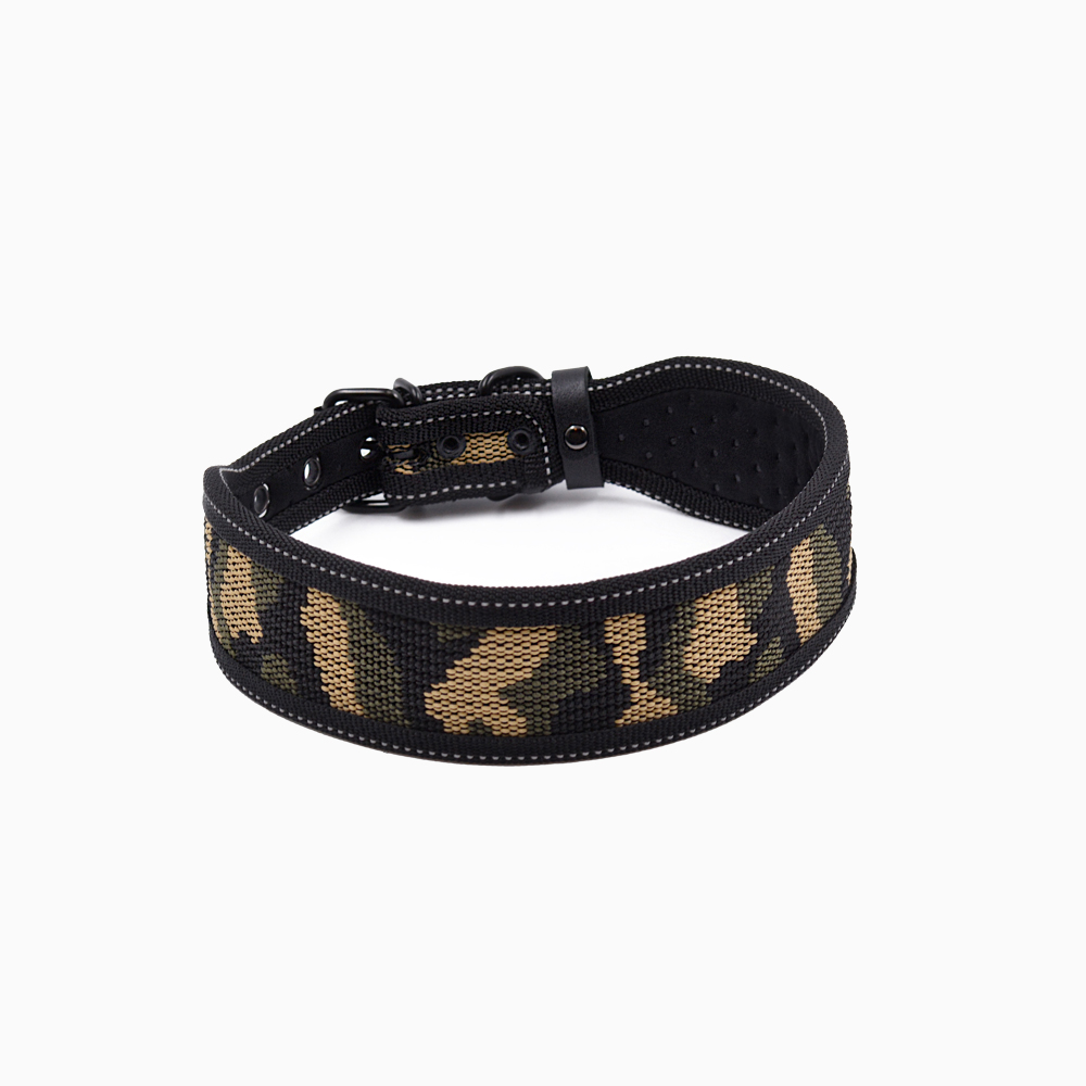 Fabric collar with buckle
