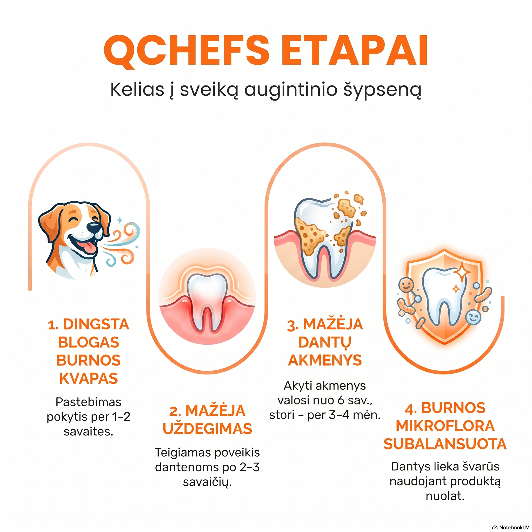 A white infographic with orange and black text in Lithuanian about dental care stages, featuring four illustrated panels: a dog breath, a tooth being brushed, a tooth with cavities, and a shield with a tooth.