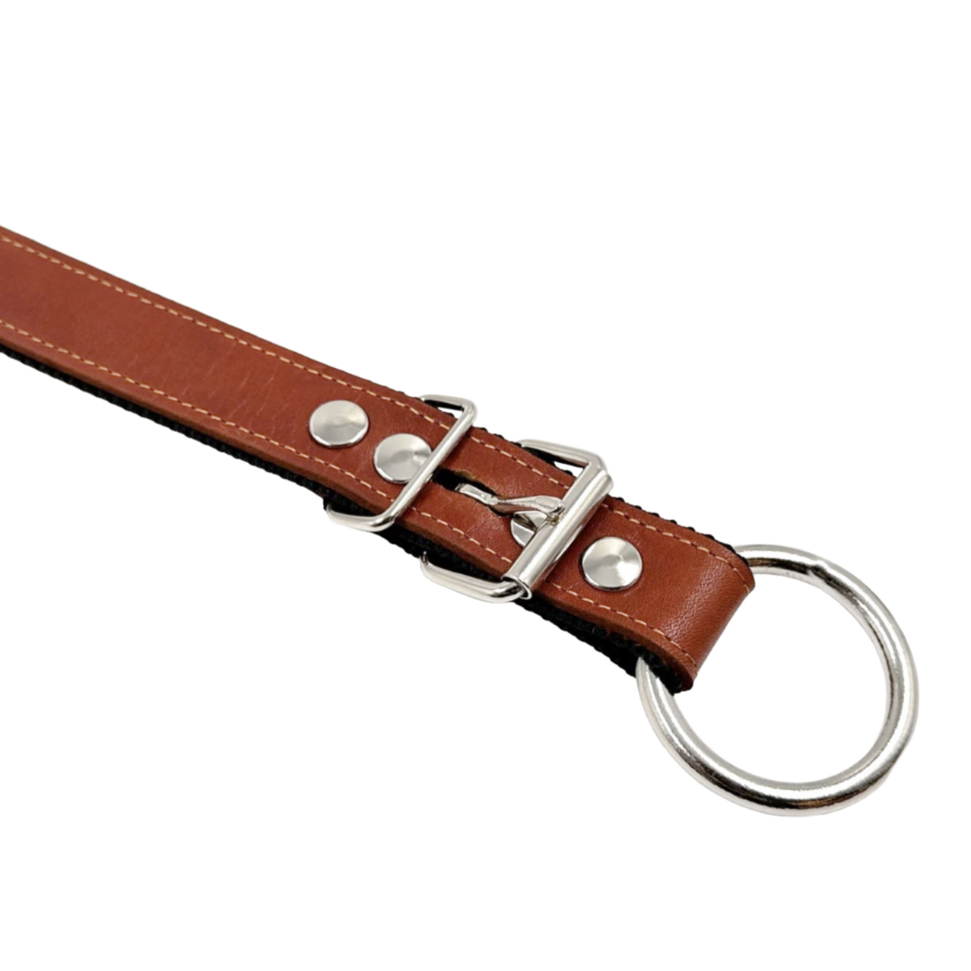 A brown leather pet collar with a metal buckle and nylon accents.