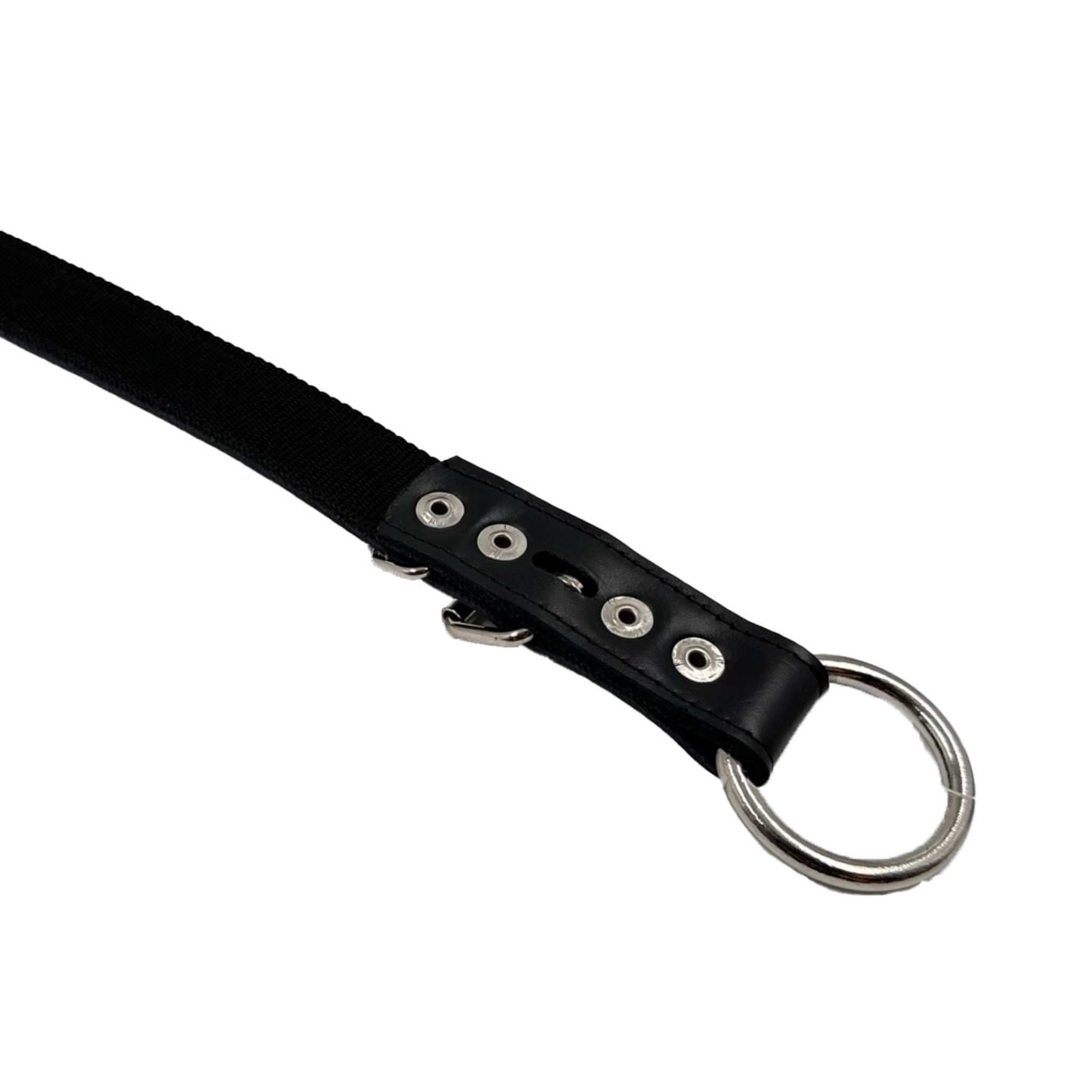 Craftsman's Blend Leather & Nylon Playful Collar