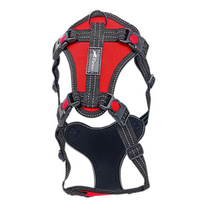 Harness designed for medium and large breed dog Red Paws