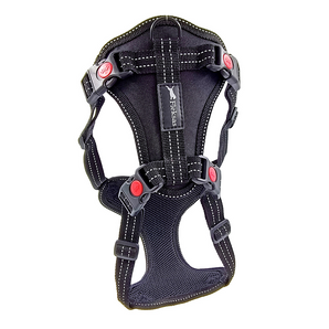 Harness designed for medium and large breed dog Black Paws