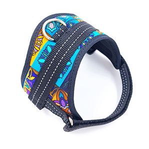 Colorful Jungle Harness for small breed dogs