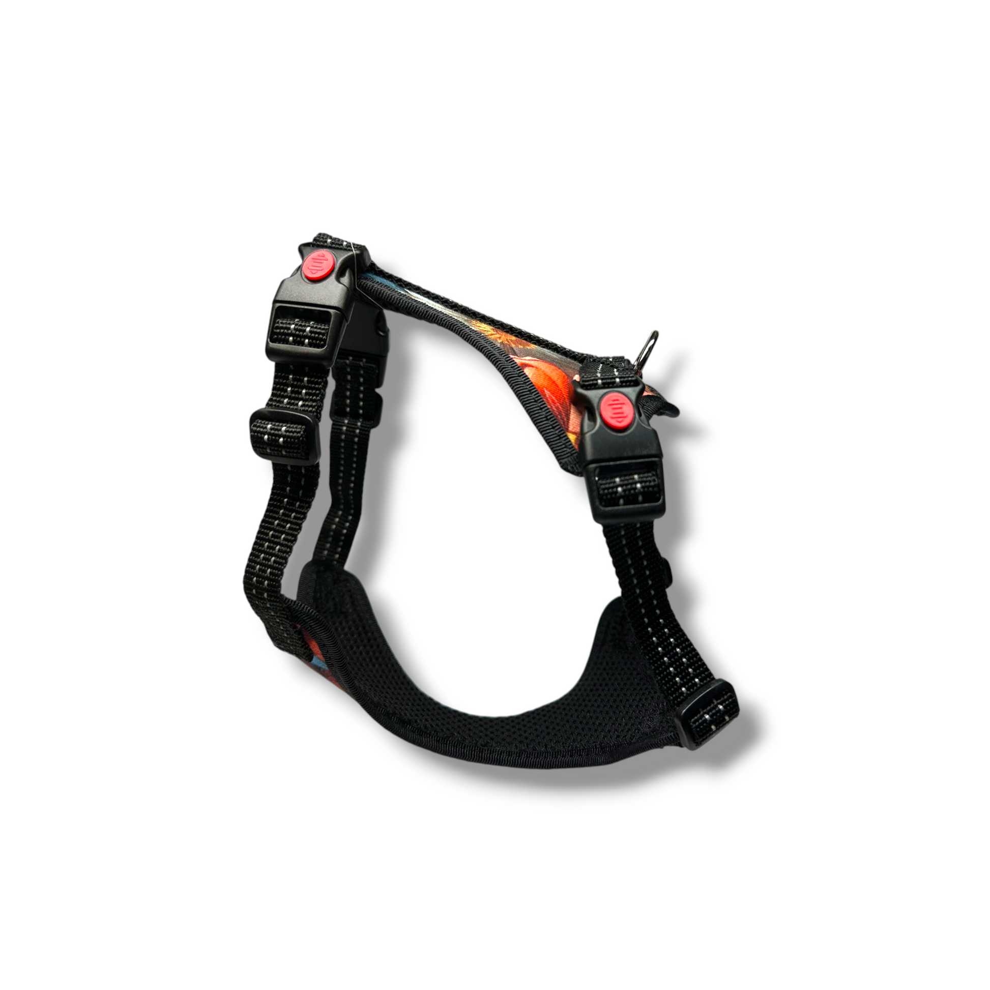Black dog harness with flowers accents on a white background