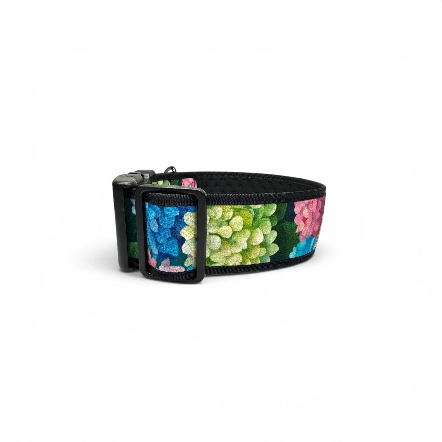Hydrangea wide dog collar with colourful floral print, black edging and adjustable hardware.
