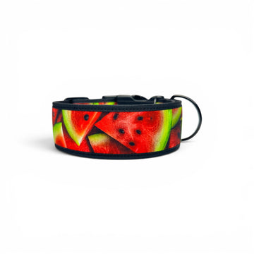 A black pet collar featuring a vibrant watermelon slice pattern with red flesh, green rinds, and black seeds, complete with a black plastic buckle and a matching black ring attachment.