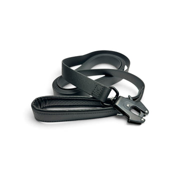 Waterproof BioThane® Dog Leash with Padded Handle & Frog Clip