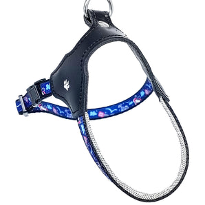 Blue Pet Harness for Small breads with Color Heart